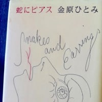 「蛇にピアス」金原ひとみ。