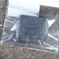 任天堂の新たな伝説が誕生する（私の家で勝手に）