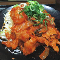 定食（松のや／かつや／野郎めし）（2025年6月）