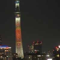 日向坂46の虹開催記念特別ライティング27