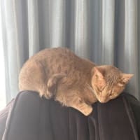 マオちゃんちですけど