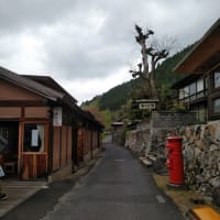 奇跡の薬湯？