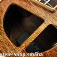 L.Luthier [Le ligth Maho w/EQ] コンサート/PU付入荷です♪