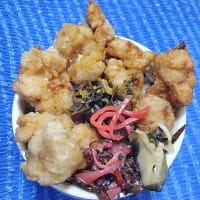 【05/11昼食】南部鶏手羽ぷり塩麹竜田、これが一番だとおも～んだね：D