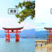 あれってそれってどんな潮？　～潮時暦について