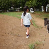 ひまわりロードを走る