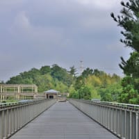 改修工事完了ですっきり！・・・けいはんな記念公園観月橋