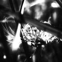 「写真」④