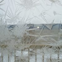 寒い朝の窓ガラス