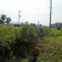 酷暑の中の共同草刈り