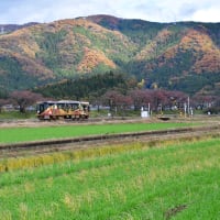 12月