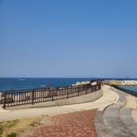 R70322高浜乗れず