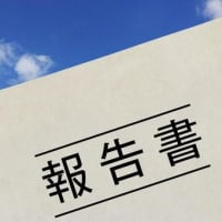 白書の使い方は？どのような場面で使われるのか