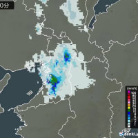またもや大雨　