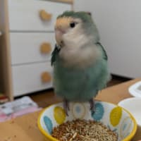 蒼クンとの信頼関係が💔