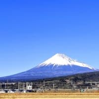 やる気がおきぬ…。