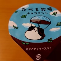 ちょっと涼しかった