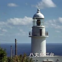 八丈小島もあるく　よみがえれ　三宅島応援ツアー　１０回目　八丈島