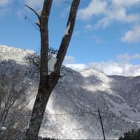 2024/12/15・小島峠は大雪になってます！