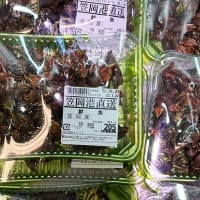 「亀の手」は笠岡のスーパーで普通に売っている