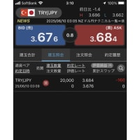 トルコリラ　2025年6月10日