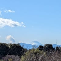 マイナス気温日数