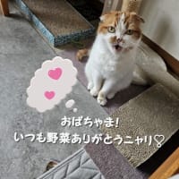 来客