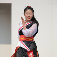 古河和舞祭2017　♪東日本大震災復興支援曲「花は咲く　Rise Up 東北」 