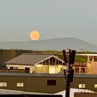 リベンジの２度目万博