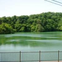 ２０２５年６月１日　新緑の白神 十二湖　