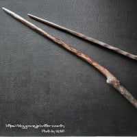 The Making of Harry Potter