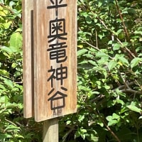 龍をめぐる冒険　3