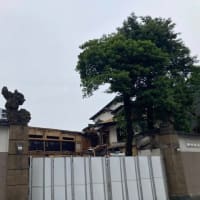 清川の歴史【福岡市社交ダンス教室・福岡市社交ダンススタジオ・薬院、渡辺通、柳橋・福岡のダンススクールライジングスター】