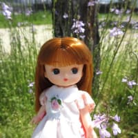 リトルリカちゃんとお散歩