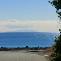 茅ヶ崎市柳島海岸から見る伊豆大島