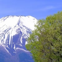 富士山（6/16）