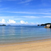 夏の昼下がり　浜辺の蝶