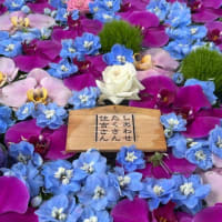 願いが叶うのはさりげない日常の中に