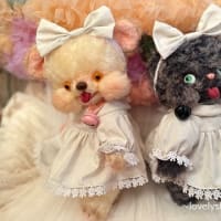 バニラちゃんと新緑猫ちゃん・・・ﾏﾏｻﾝﾊﾟﾊﾟｻﾝﾎﾞｼｭｳ~♪