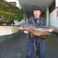 2024年11月25日　１のクソ