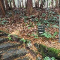 奈良市東南部の古墳探索④　~円照寺宮墓・円照寺墓山古墳・円照寺~