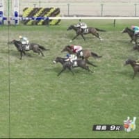 ルーチェロッサ織姫賞勝利