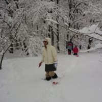 徳島から雪遊び