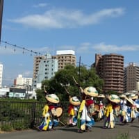 『仙北小鷹さんさ踊り保存会 結成35周年記念 門付け巡業』