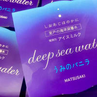 高知県　松崎冷菓さんのアイス、入荷しております。