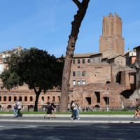 古代ローマ時代の遺跡「Foro Romano（フォロ・ロマーノ）」を歩く