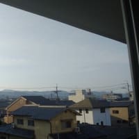 2025年6月20日（金）晴。