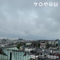 お盆なので