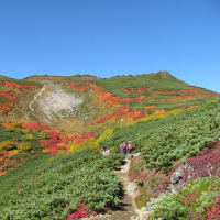 大雪山の紅葉