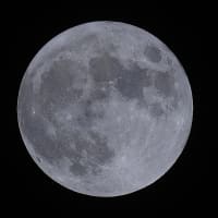 ● 横浜の満月　-2023年9月/中秋の名月